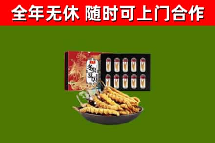 盐城市烟酒回收冬虫夏草礼盒.jpg